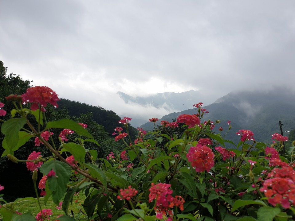 지리산꽃담 이미지