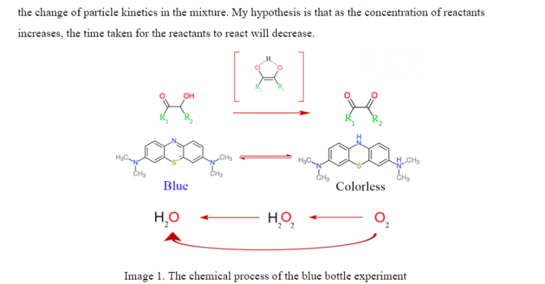 IB Chem, IB Bio 공부법 - 7점 받기 관련 이미지 1