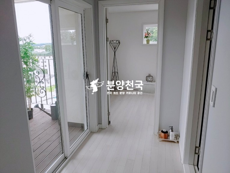 펠리체(Felice) 이미지
