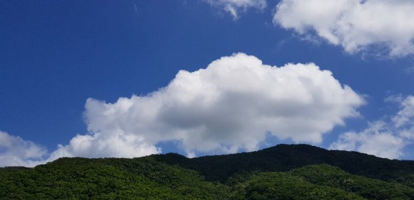 산촌2민박 이미지