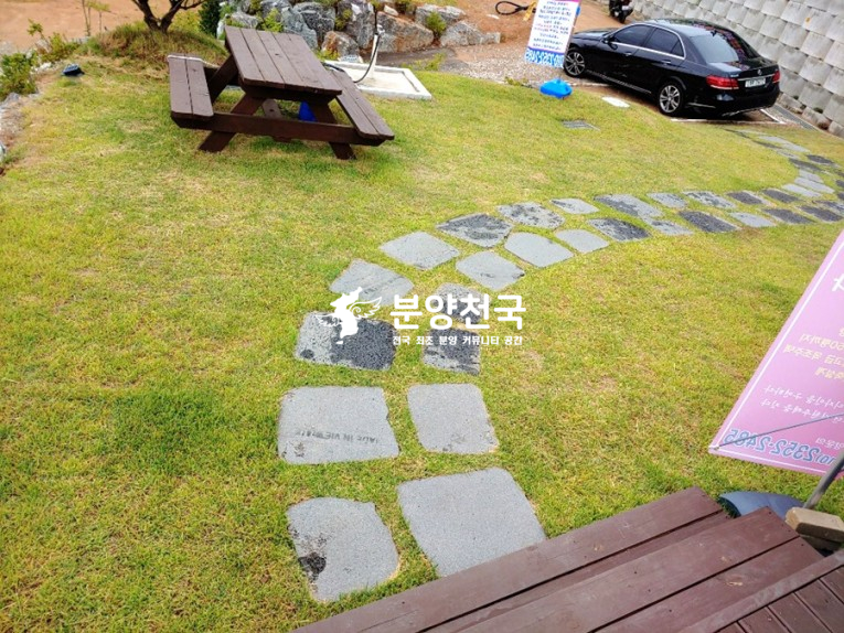 펠리체(Felice) 이미지