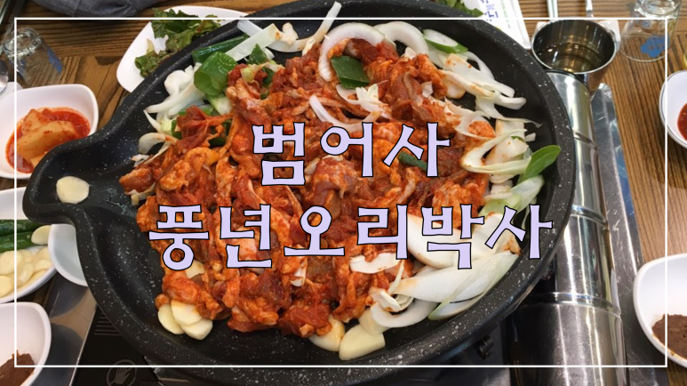 오리박사 이미지