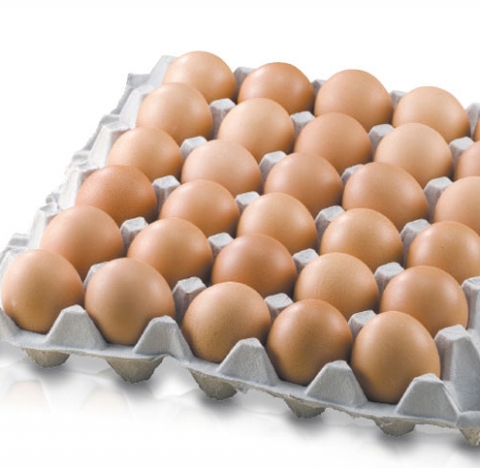 다온 할인마트(식자재) 이미지