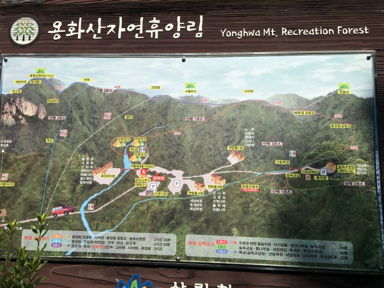 국립용화산자연휴양림 이미지