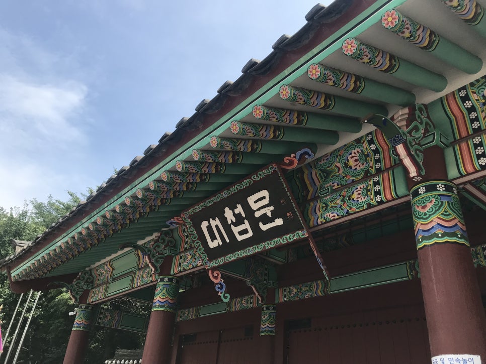 써브웨이고양 이미지
