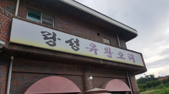 랑성오리 이미지