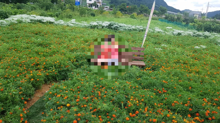 해담 막국수 이미지