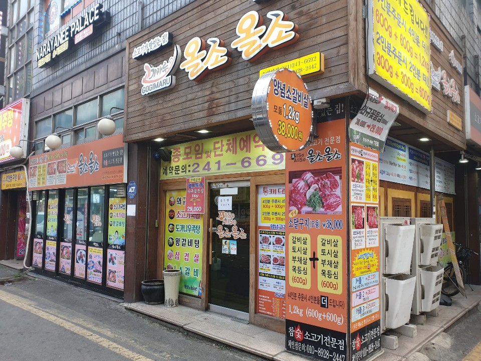 올소올소 이미지