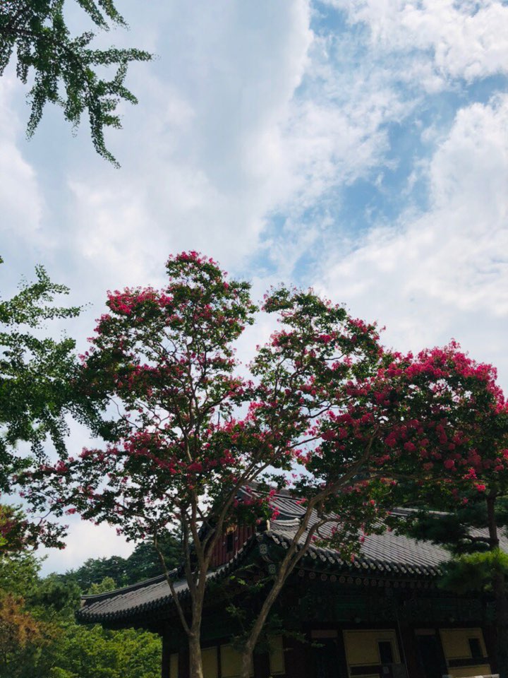 삼성산청연수소 이미지