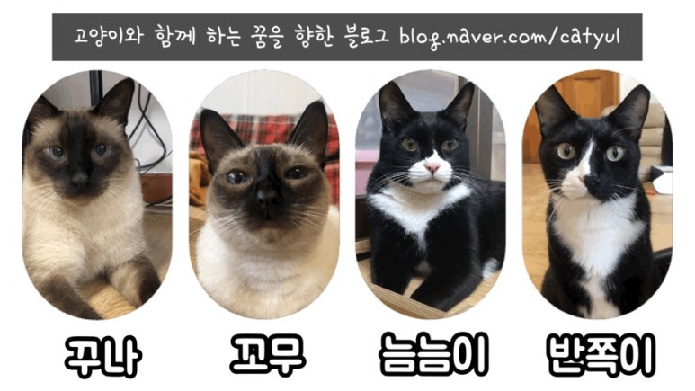 오늘따라 포차 이미지