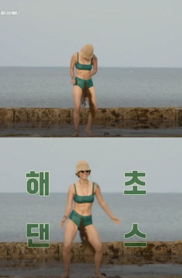 해초클럽 이미지