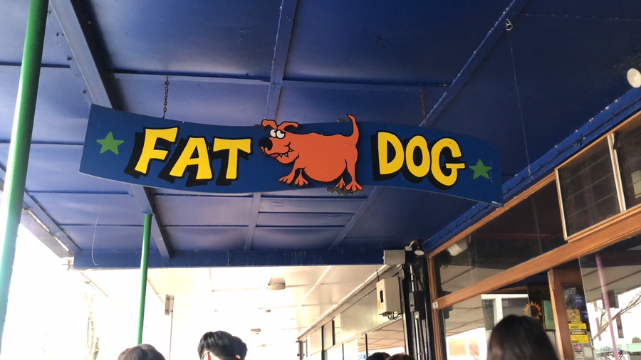 블루스프링스 이미지