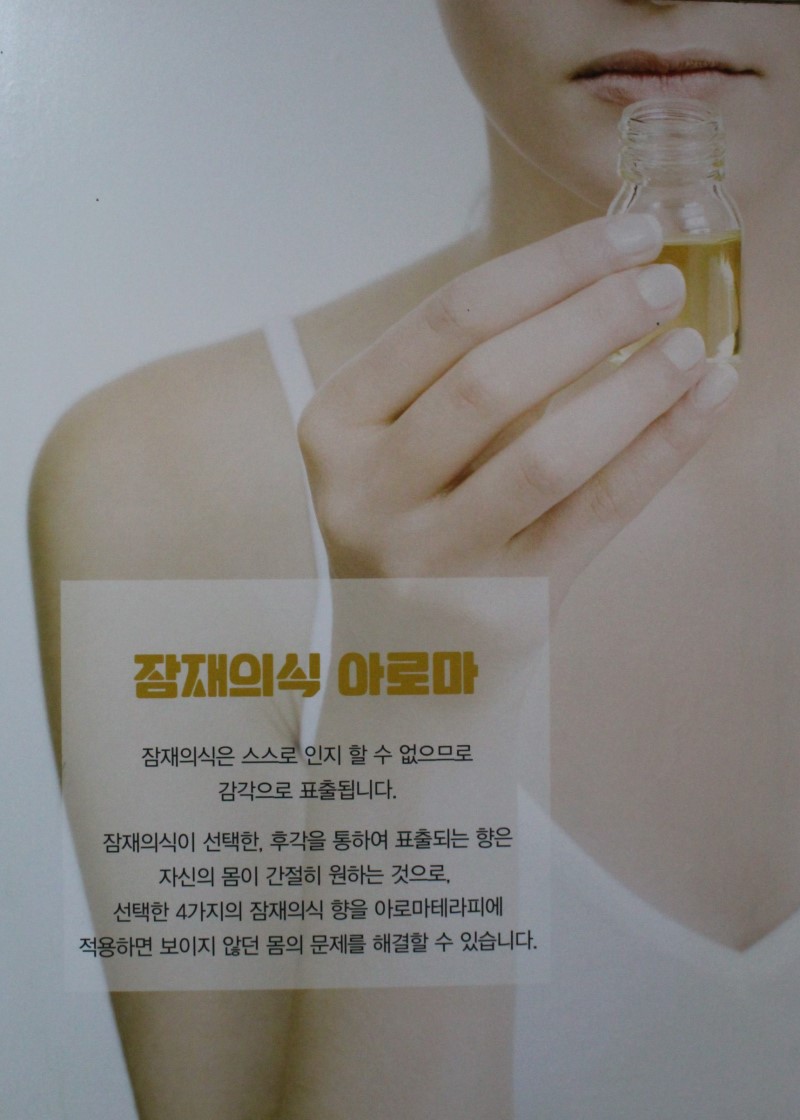 가자숲으로 이미지