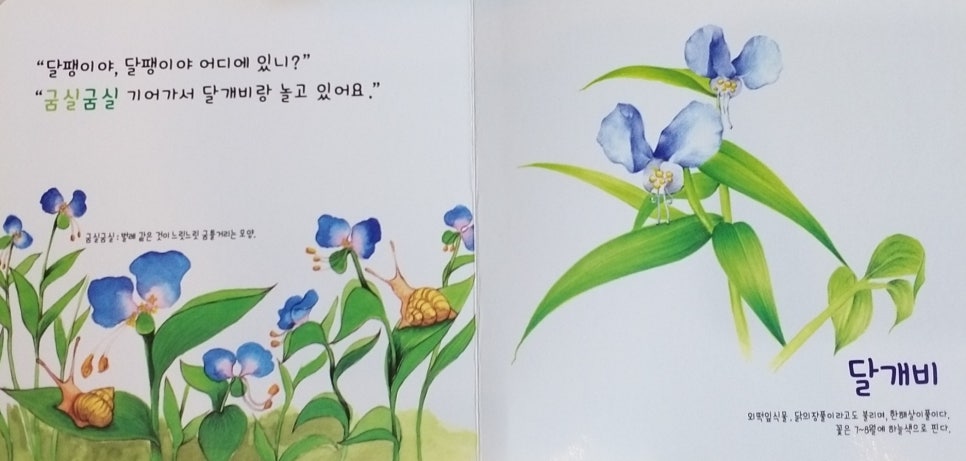 개구리노래클럽 이미지