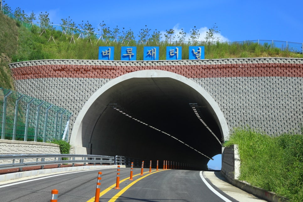부산에듀팜 이미지