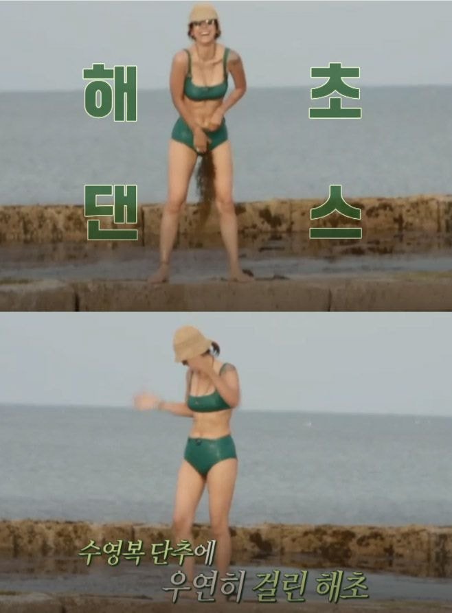 해초클럽 이미지