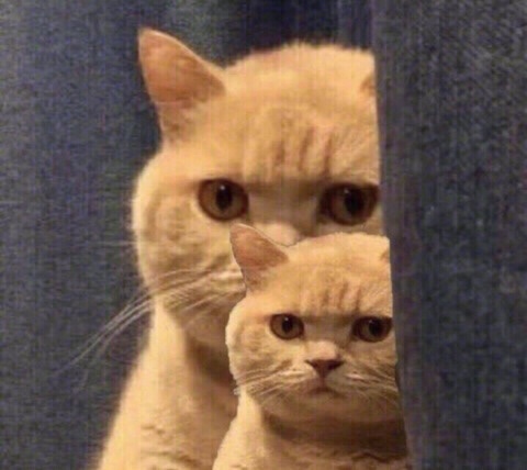 제로러기지 이미지