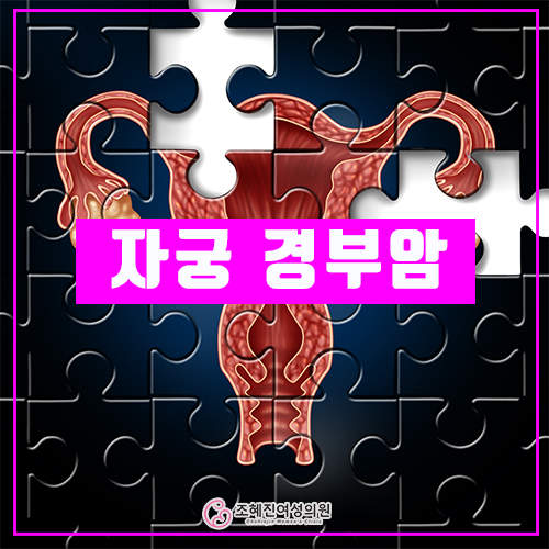 조혜진여성의원 이미지