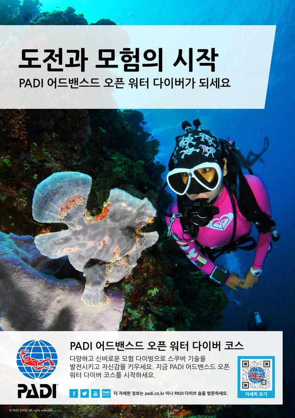 소셜다이버 이미지