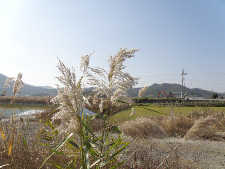 햇살민박 이미지