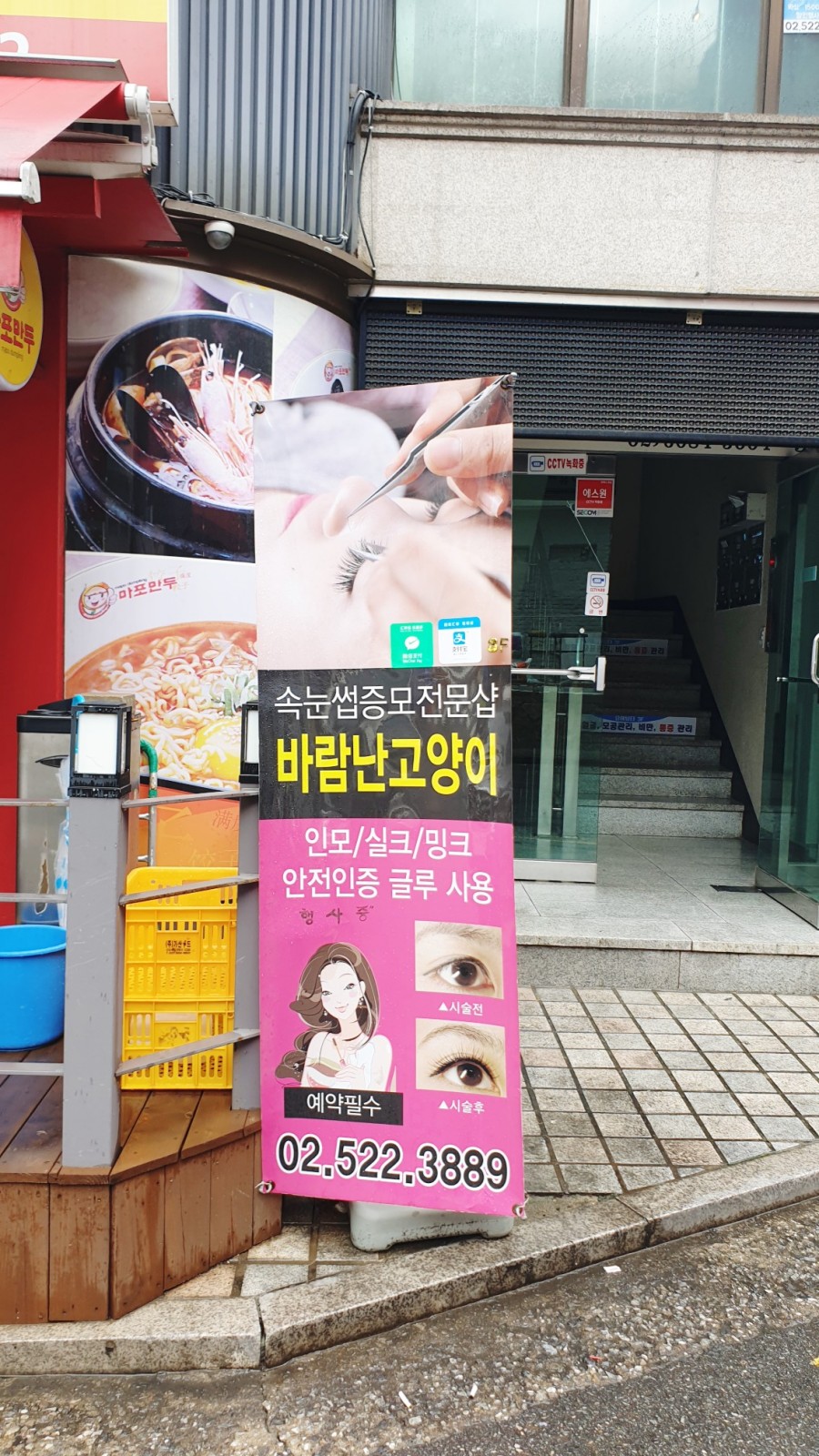바람난고양이 이미지