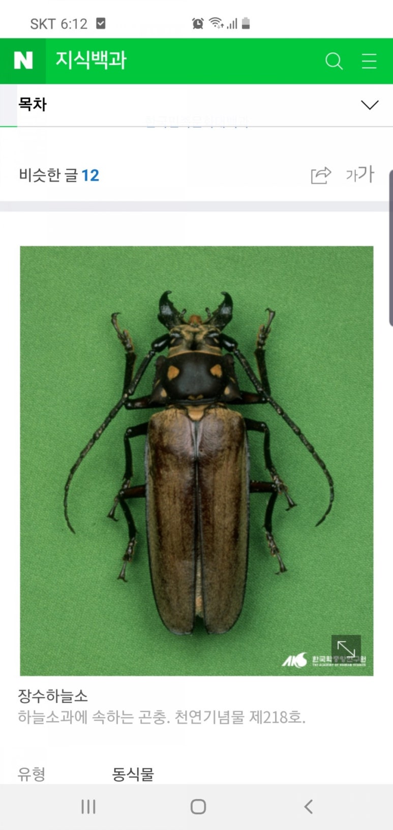 문경숲속정원 이미지