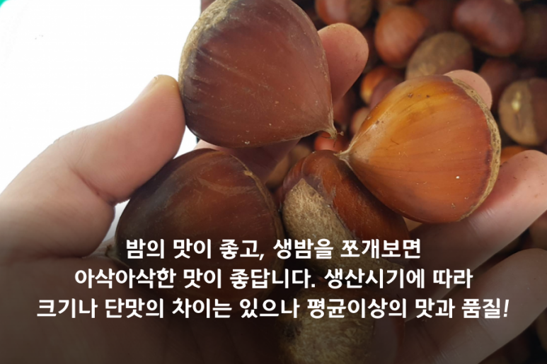 인더하동 이미지