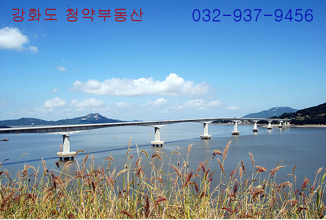 카페석포리 이미지