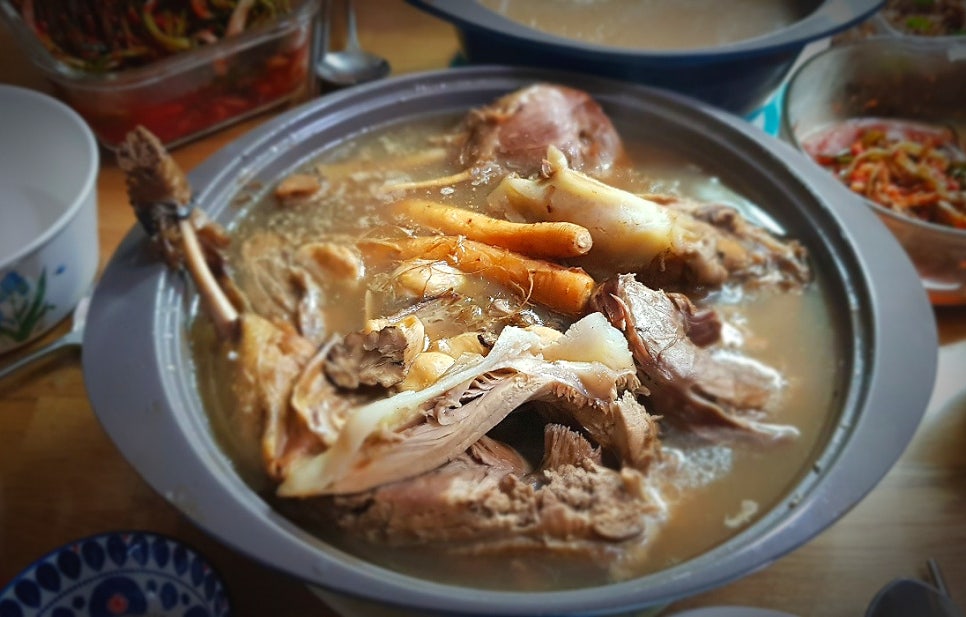 날마다 오리 이미지