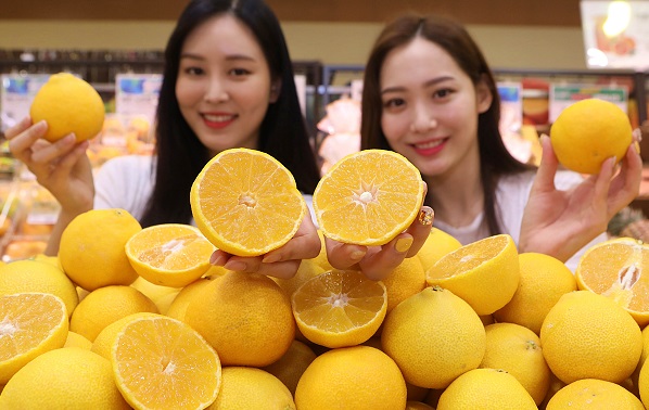 현대커뮤니티 이미지