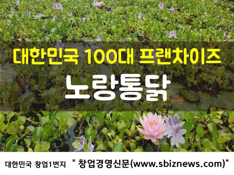 네이처 녹즙 이미지