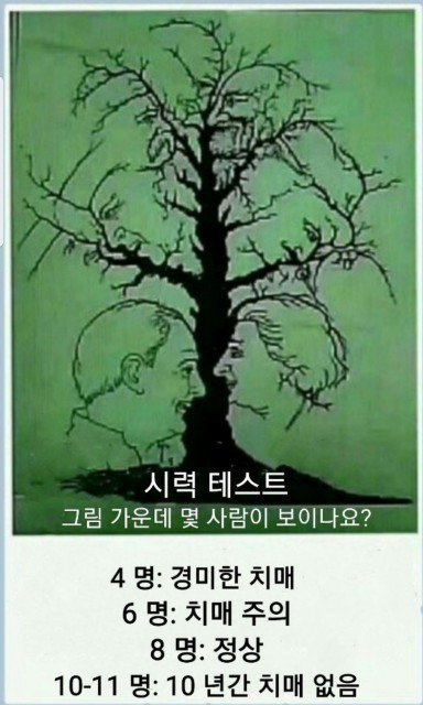 솔향기펜션 이미지