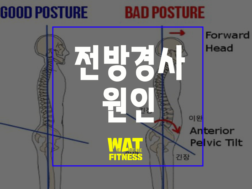 위아더휘트니스 이미지