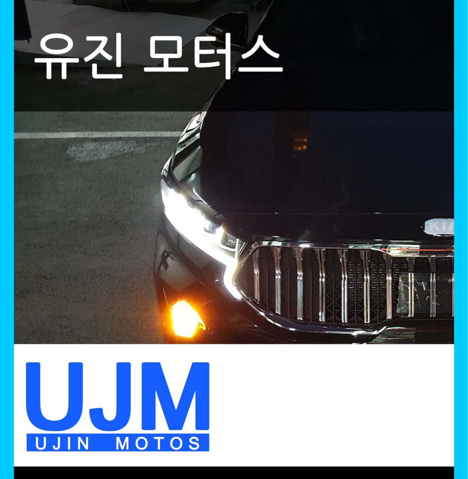 토르모터스 이미지