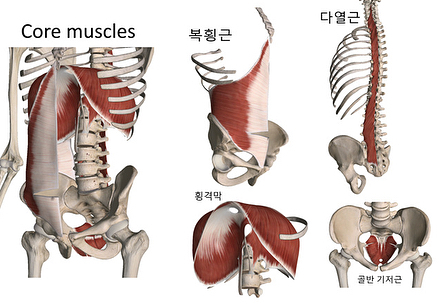 저스트코어 이미지