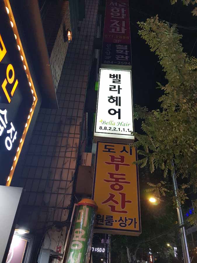 벨라헤어 이미지