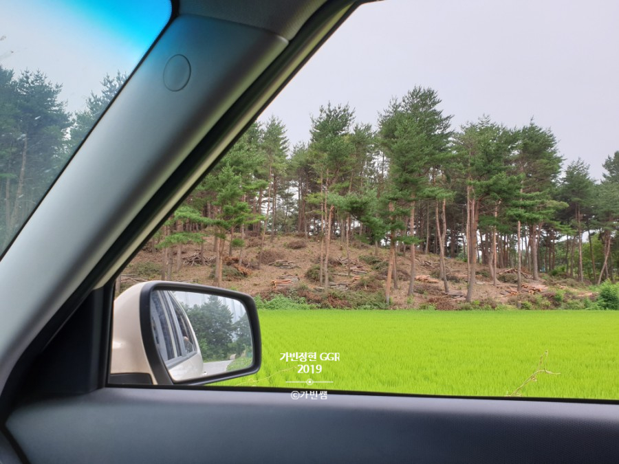 소나무수산 이미지