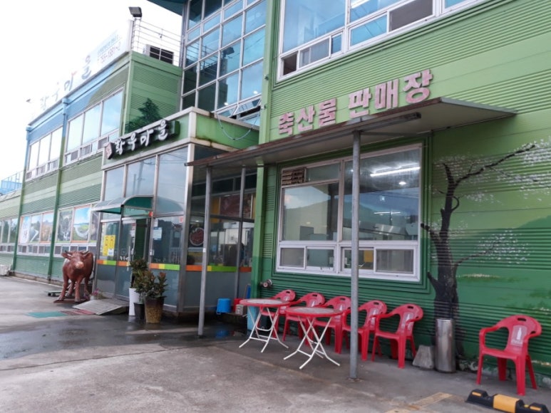 순천황우 이미지