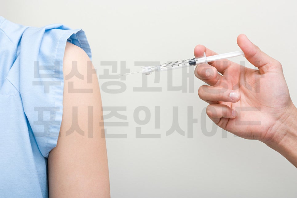 포시즌인사이드 이미지