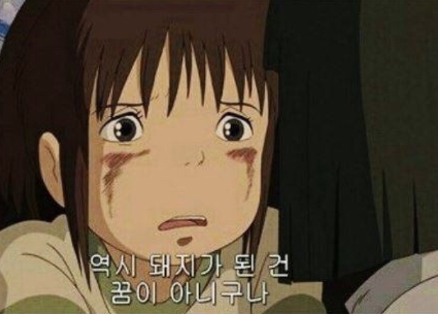 오늘도축산 이미지