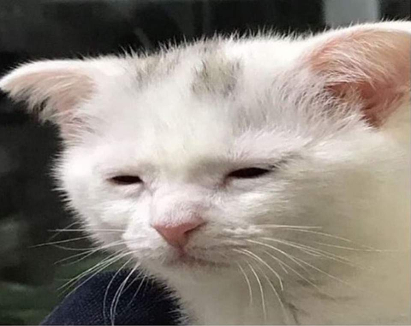뽀글이미용실 이미지