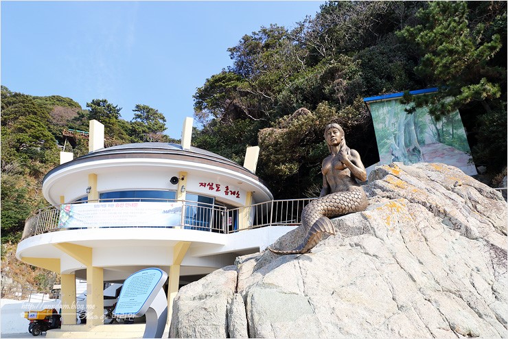 동백나무집민박 이미지