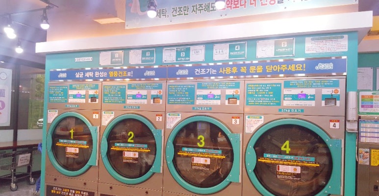 아쿠아워시포항 이미지