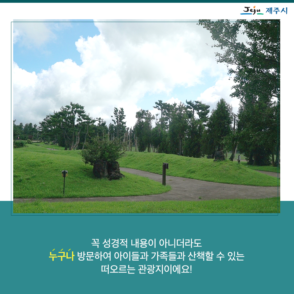 새미새 이미지