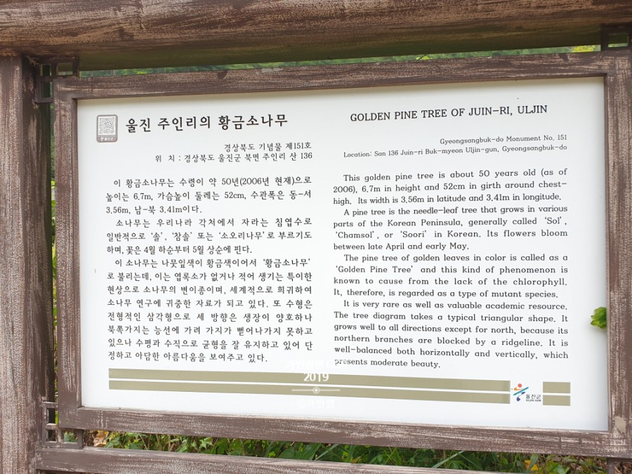 소나무수산 이미지