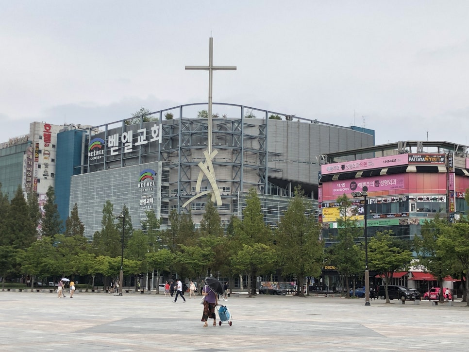 구동명쾌유테라피 이미지