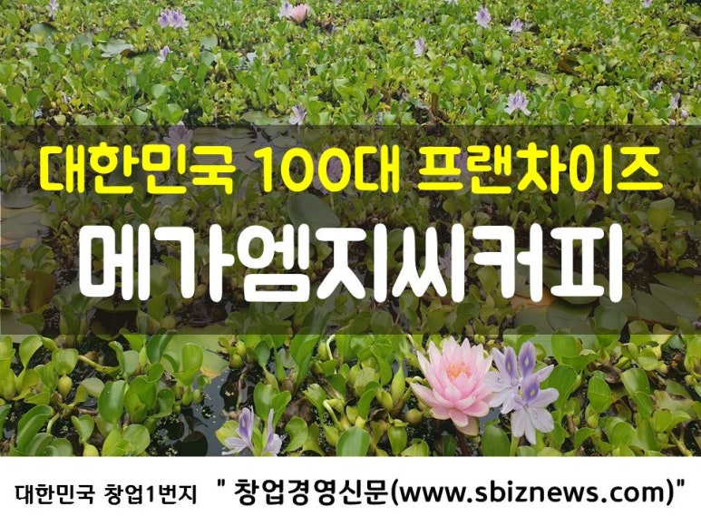 네이처 녹즙 이미지