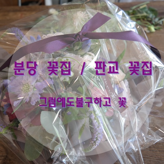 그럼에도불구하고꽃 이미지