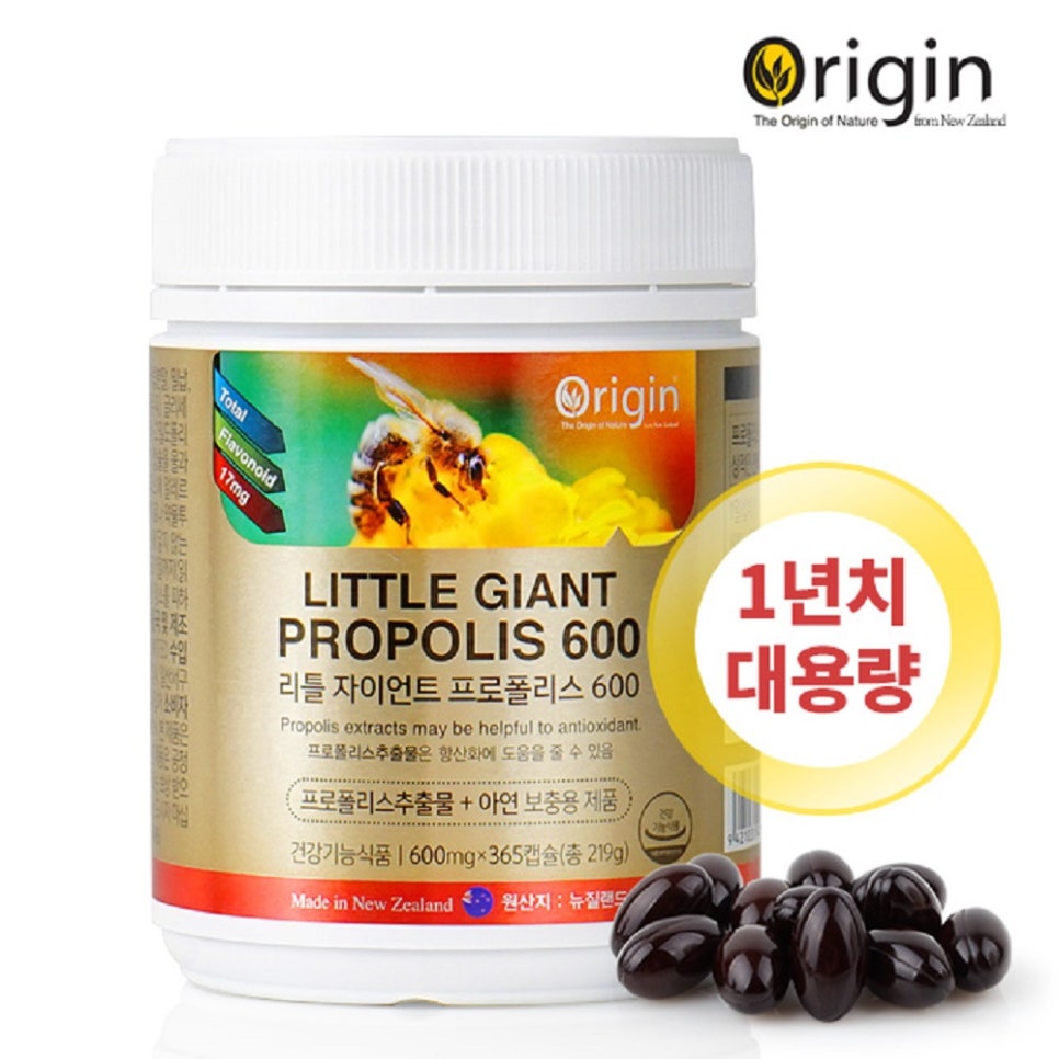 자이언트상사 이미지