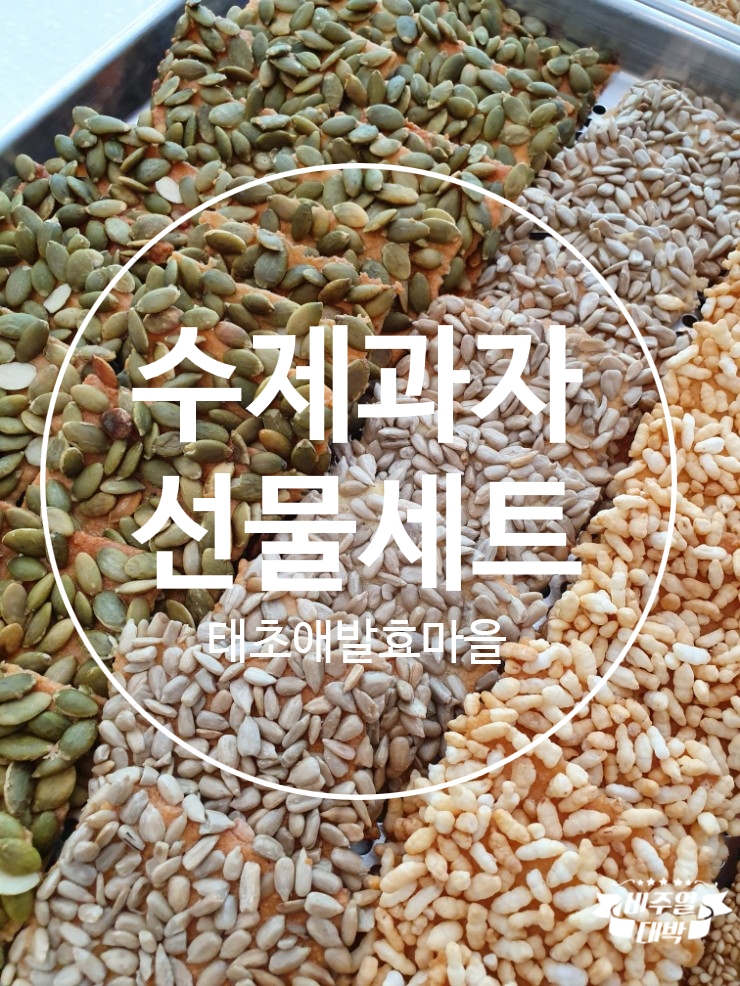 태초애 이미지